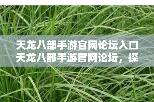 天龙八部手游官网论坛入口天龙八部手游官网论坛图片