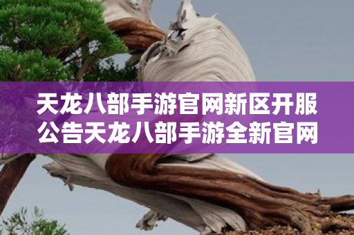 天龙八部手游官网新区开服公告天龙八部手游全新官网新区图片