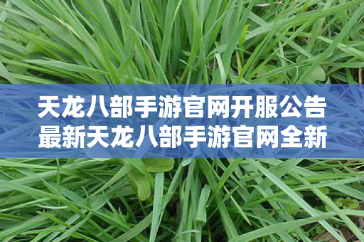 天龙八部手游官网开服公告最新天龙八部手游官网全新服务器开启公告图片