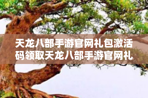天龙八部手游官网礼包激活码领取天龙八部手游官网礼包图片