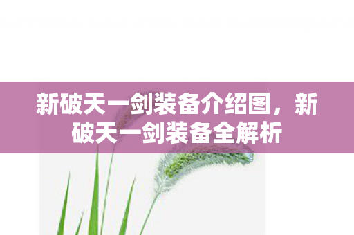 新破天一剑装备介绍图图片