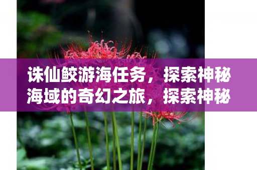 探索神秘海域的奇幻之旅图片