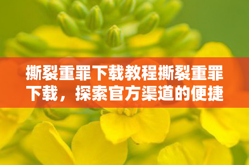 撕裂重罪下载教程撕裂重罪下载，探索官方渠道的便捷与乐趣，撕裂重罪官方下载指南，探索便捷与乐趣的官方渠道