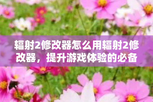 辐射2修改器怎么用辐射2修改器，提升游戏体验的必备神器，辐射2修改器，提升游戏体验的必备神器