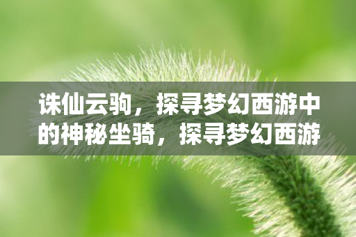 诛仙云驹,探寻梦幻西游中的神秘坐骑,探寻梦幻西游中的神秘坐骑,诛仙云驹 诛仙云驹,探寻梦幻西游中的神秘坐骑,探寻梦幻西游中的神秘坐骑,诛仙云驹