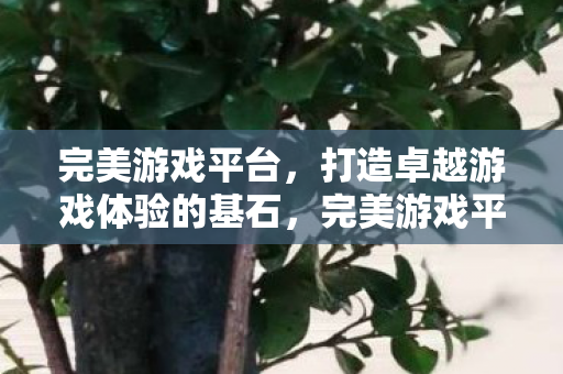 打造卓越游戏体验的基石图片