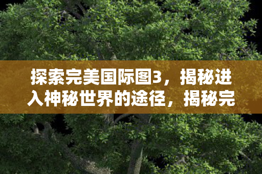 探索完美国际图3,揭秘进入神秘世界的途径,揭秘完美国际图3,进入神秘世界的途径 探索完美国际图3,揭秘进入神秘世界的途径,揭秘完美国际图3,进入神秘世界的途径