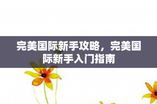 完美国际新手攻略,完美国际新手入门指南 完美国际新手攻略,完美国际新手入门指南