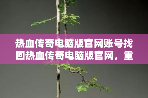 热血传奇电脑版官网账号找回热血传奇电脑版官网图片