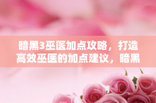 暗黑3巫医加点攻略，打造高效巫医的加点建议，暗黑3巫医高效加点攻略，打造你的专属巫医