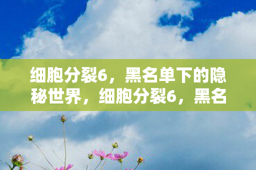 细胞分裂6，黑名单下的隐秘世界，细胞分裂6，黑名单下的隐秘世界揭秘！