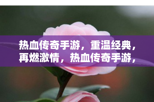 热血传奇手游图片