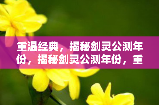 揭秘剑灵公测年份图片
