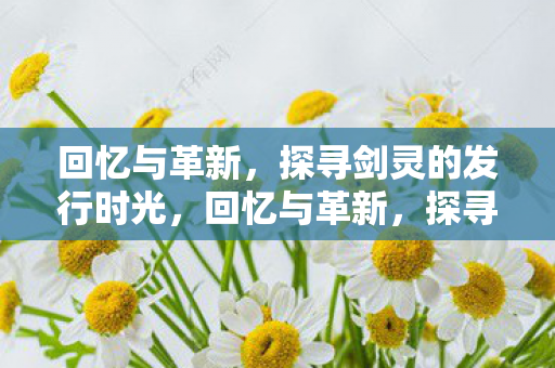 探寻剑灵的发行时光图片