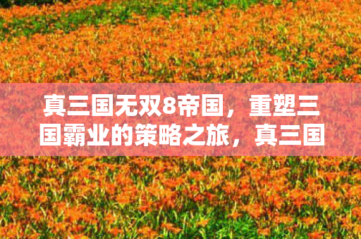 真三国无双8帝国,重塑三国霸业的策略之旅,真三国无双8帝国,重塑三国霸业的策略之旅 真三国无双8帝国,重塑三国霸业的策略之旅,真三国无双8帝国,重塑三国霸业的策略之旅