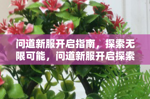 问道新服开启指南，探索无限可能，问道新服开启探索之旅，解锁无限可能