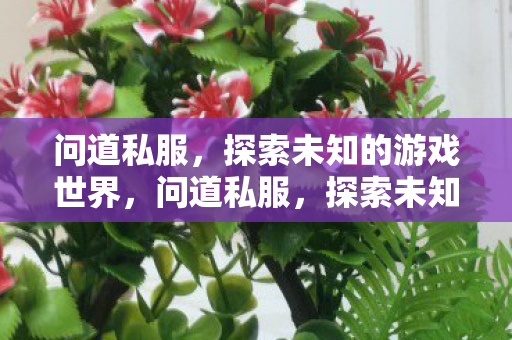 问道私服,探索未知的游戏世界,问道私服,探索未知的游戏世界 问道私服,探索未知的游戏世界,问道私服,探索未知的游戏世界