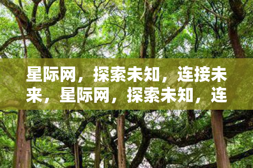 星际网，探索未知，连接未来，星际网，探索未知，连接未来