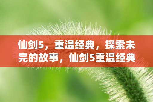 仙剑5,重温经典,探索未完的故事,仙剑5重温经典,探索未完故事 仙剑5,重温经典,探索未完的故事,仙剑5重温经典,探索未完故事