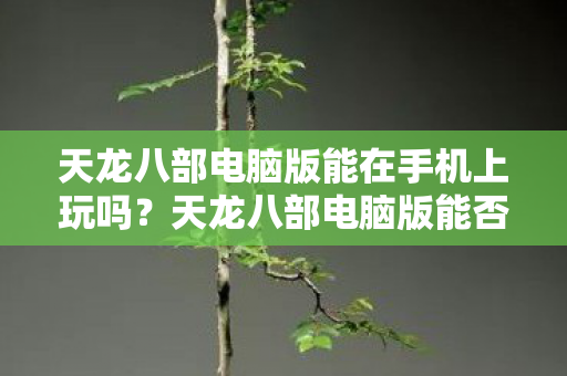 天龙八部电脑版能在手机上玩吗图片