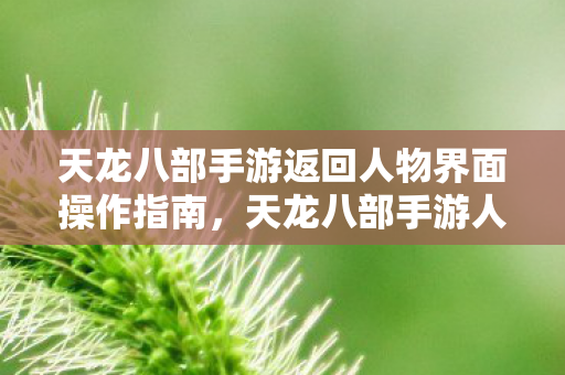 天龙八部手游返回人物界面操作指南，天龙八部手游人物界面返回操作全解析