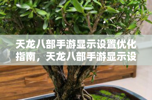 天龙八部手游显示设置优化全解析图片