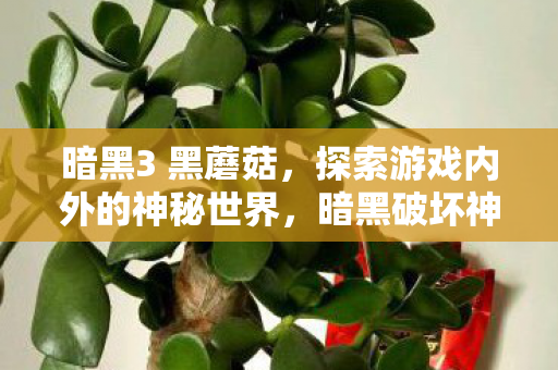 暗黑3 黑蘑菇，探索游戏内外的神秘世界，暗黑破坏神3黑蘑菇，探索游戏内外的神秘世界