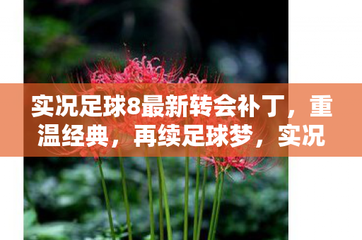 实况足球8最新转会补丁，重温经典，再续足球梦，实况足球8最新转会补丁，重温经典，再续足球梦