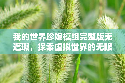 我的世界珍妮模组完整版无遮瑕,探索虚拟世界的无限可能,探索虚拟世界的无限可能,我的世界珍妮模组完整版无遮瑕 我的世界珍妮模组完整版无遮瑕,探索虚拟世界的无限可能,探索虚拟世界的无限可能,我的世界珍妮模组完整版无遮瑕