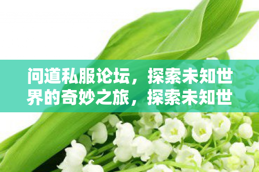 问道私服论坛，探索未知世界的奇妙之旅，探索未知世界的奇妙之旅，问道私服论坛