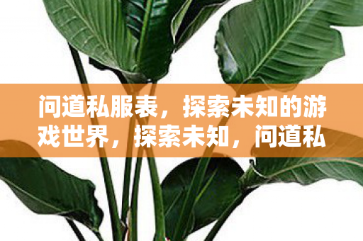 问道私服表，探索未知的游戏世界，探索未知，问道私服表带你领略游戏世界的奥秘