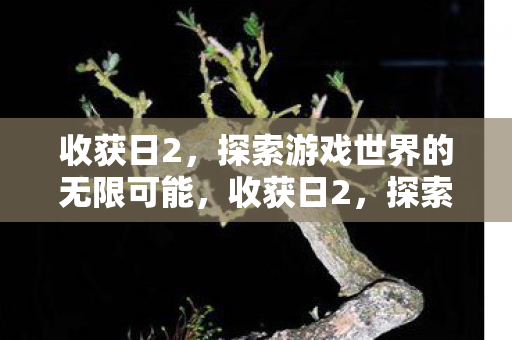 收获日2，探索游戏世界的无限可能，收获日2，探索游戏世界的无限可能