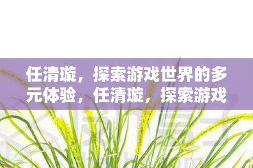 任清璇，探索游戏世界的多元体验，任清璇，探索游戏世界的多元体验之旅
