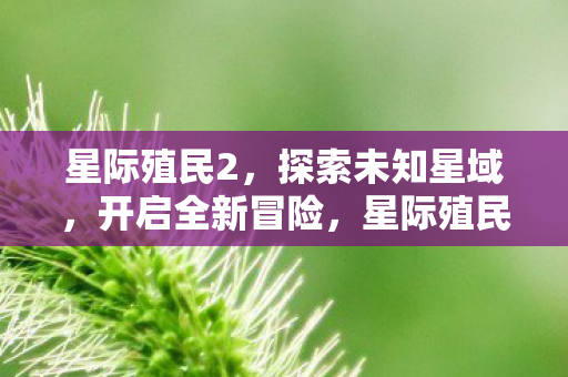 星际殖民2，探索未知星域，开启全新冒险，星际殖民2，探索未知星域，开启全新冒险