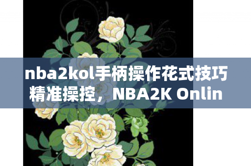 nba2kol手柄操作花式技巧精准操控，NBA2K Online手柄操作指南，NBA2K Online手柄操作指南，精准操控，解锁花式技巧