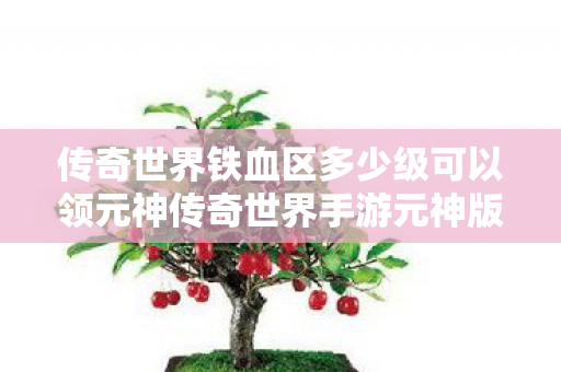 传奇世界铁血区多少级可以领元神传奇世界手游元神版铁血积分有什么用，传奇世界手游元神版铁血区元神领取等级及铁血积分作用解析
