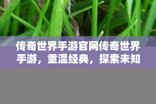 传奇世界手游官网传奇世界手游图片