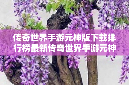 传奇世界手游元神版下载排行榜最新传奇世界手游元神版下载排行图片