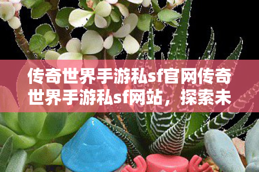传奇世界手游私sf官网传奇世界手游私sf网站图片