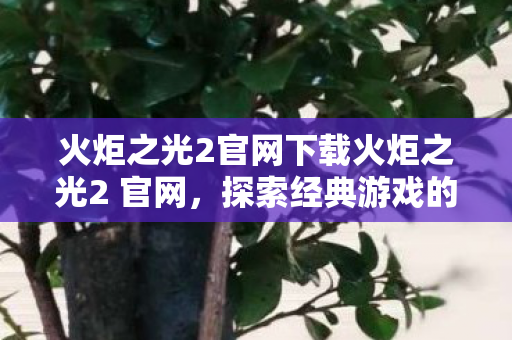 火炬之光2官网下载火炬之光2 官网，探索经典游戏的全新世界，探索经典，火炬之光2官网下载开启全新游戏世界