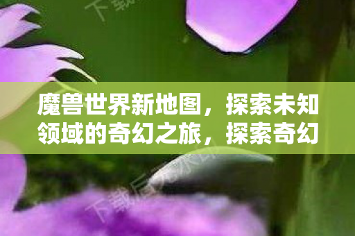 魔兽世界新地图，探索未知领域的奇幻之旅，探索奇幻之旅，魔兽世界新地图揭秘