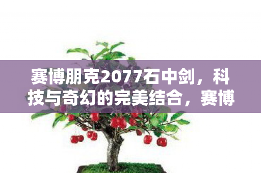 赛博朋克2077石中剑,科技与奇幻的完美结合,赛博朋克2077石中剑,科技与奇幻的完美融合 赛博朋克2077石中剑,科技与奇幻的完美结合,赛博朋克2077石中剑,科技与奇幻的完美融合