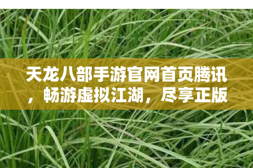 天龙八部手游官网首页腾讯图片