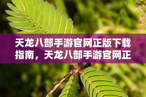天龙八部手游官网正版下载全攻略图片