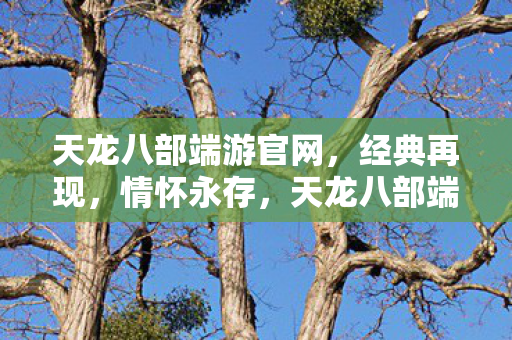 天龙八部端游官网，经典再现，情怀永存，天龙八部端游经典再现，情怀永存官网
