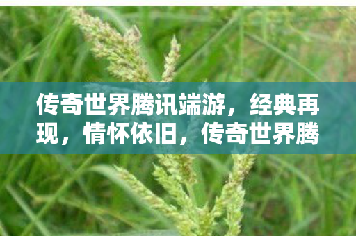 传奇世界腾讯端游，经典再现，情怀依旧，传奇世界腾讯端游，经典再现，情怀依旧