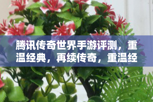 腾讯传奇世界手游评测图片