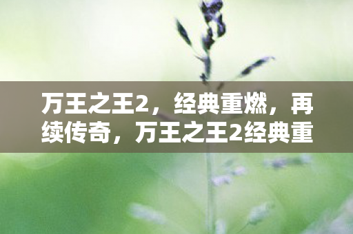 万王之王2，经典重燃，再续传奇，万王之王2经典重燃，再续传奇