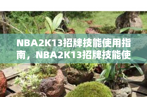 NBA2K13招牌技能使用指南,NBA2K13招牌技能使用指南,掌握关键动作,提升比赛表现 NBA2K13招牌技能使用指南,NBA2K13招牌技能使用指南,掌握关键动作,提升比赛表现