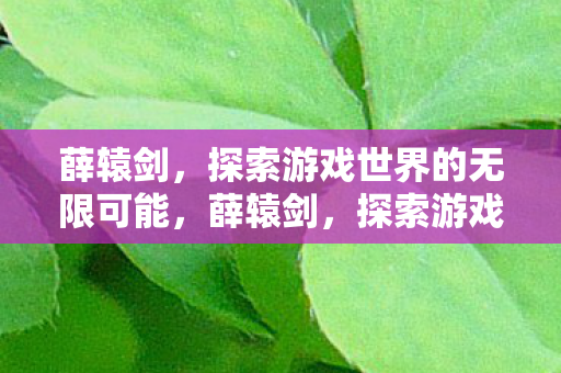 薛辕剑，探索游戏世界的无限可能，薛辕剑，探索游戏世界的无限可能